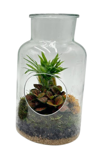 Hole in One Terrarium